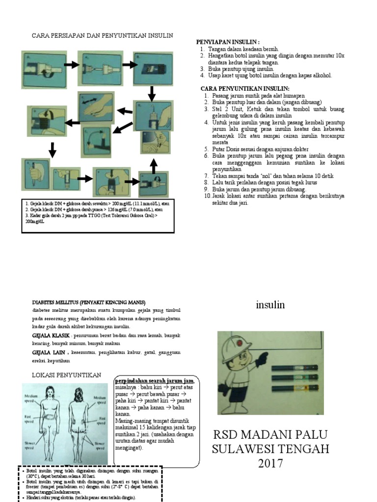 Cara Penggunaan Insulin Pdf