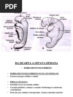 Embrio 4 Sem