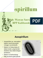 Azospirillium