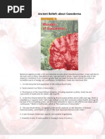 Ancient Beliefs About Ganoderma