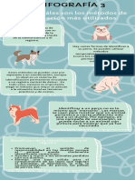 Infografía Algunas Razones para Adoptar Un Amigo Peludo Dibujos de Perritos Azul