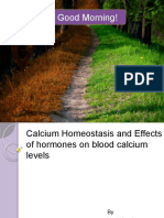 Calcium Homeostasis and Effects of Hormones On Blood