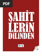 Şahitlerin Dilinden - Risale-I Nur Kahramanlarının Hatıraları - Ebook Reader Için PDF 800x600