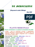 PLANTE MEDICINALE CURS 7