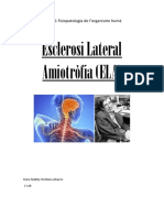 Esclerosi Lateral Amiotròfia (ELA) : FIP: UF1 Fisiopatologia de L'organisme Humà