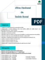 PNSB - 2019-2 - pdf
