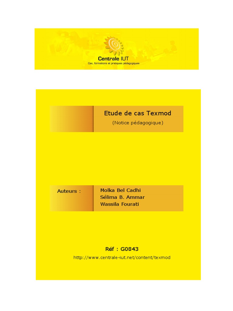 Origine et stratégie de diversification de Texmod | PDF | Fonds de ...