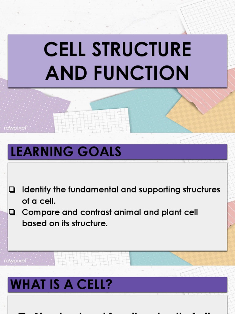 Cell Structure and Function Guide | PDF | Cell (Biology) | Cell Nucleus