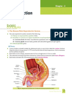 Xamidea Human Reproduction