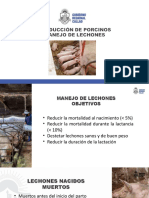 2 Producción de Porcinos Manejo de Lechones