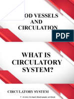 Circulatory System Guide: Blood Vessels, Circulation Physiology