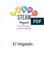 El Higado (Proyecto Steam) (Beta)