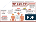 Mapa Mental Sistema Endocrino