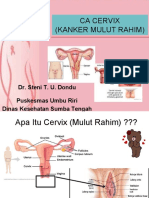 CA Cervix Fix