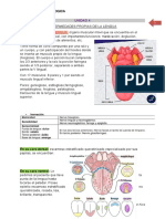 Enfermedades de la lengua: Saburral, vellosa, geográfica, fisurada y glositis