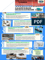 Infografia Mamíferos Semiacuaticos