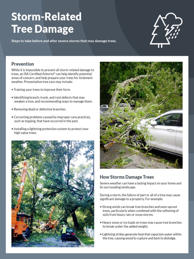 Storm Related Tree Damage - 0721 | PDF | Storms