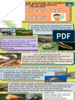 Infografía Reptiles Del Perú