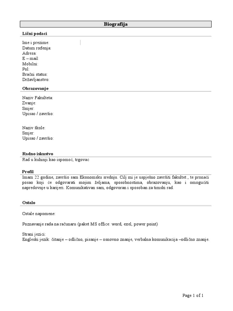 CV Primjer | PDF
