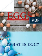 What is an Egg? A Guide to Egg Grades, Nutrition Facts, Cooking Methods & More