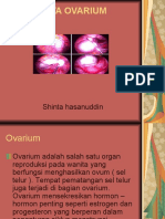280544789-kista-ovarium