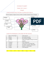 Flower parts and their functions worksheet