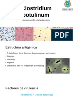 Clostridium Botulinum