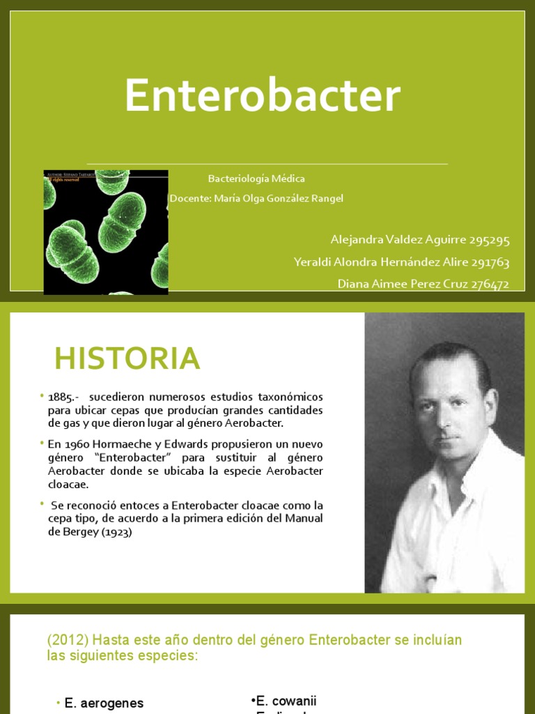 Características y Patogenicidad de Enterobacter | PDF | Sistema inmune ...