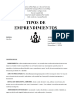 Tipos de Emprendimientos Cuadro