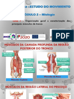 Dado. M2-Tema - F