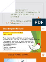 Generalidades Pollo de Engorde