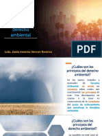 Principios Del Derecho Ambiental