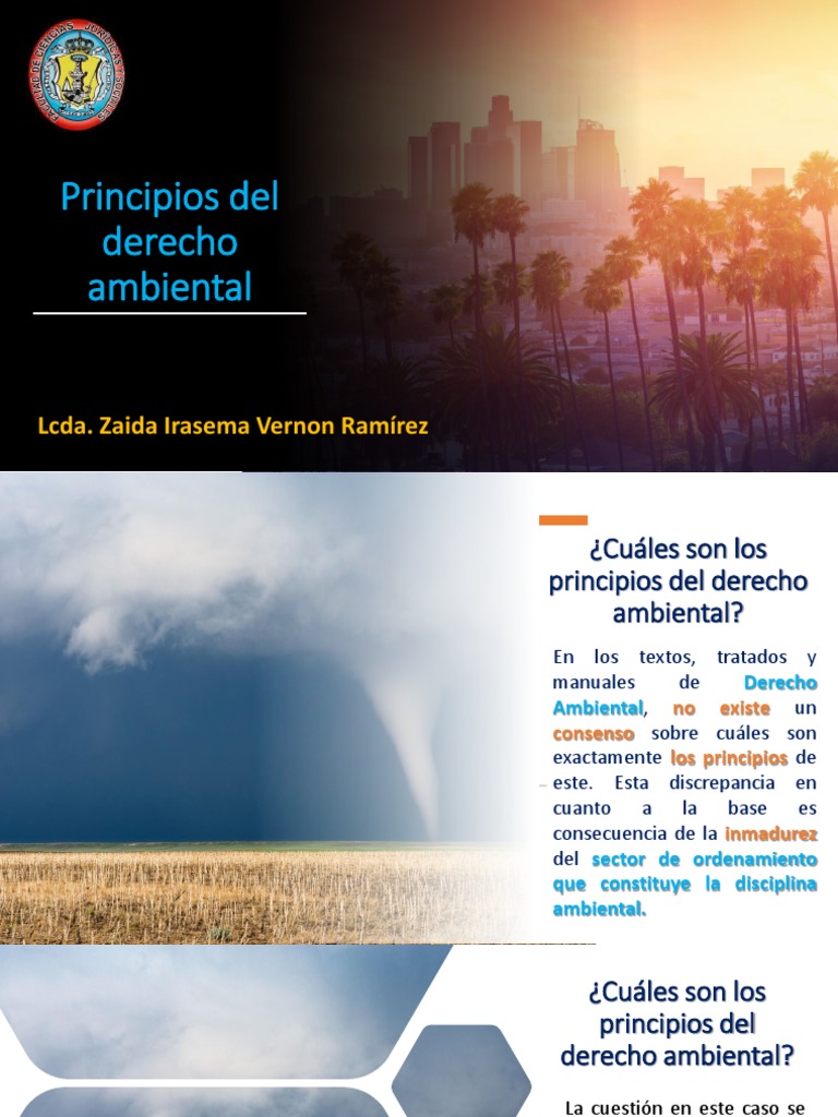 Principios Del Derecho Ambiental | PDF | Sustentabilidad | Entorno natural