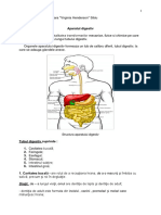 Sist Digestiv 21