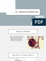 Spalinės - Baisus Parazitas