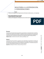 De La Consultoría A La Intervención, Algunas Consideraciones