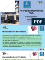 M1 CLASE 3 Neuroplasticidad en Los Trastornos Del Neurodesarrollo. Presentacion