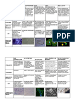 Tabla Microscopios