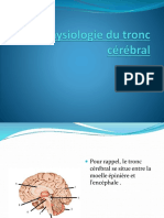 Physiologie Du Tronc Cérébral
