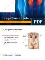 _Systeme_Excreteur_etudiants