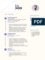 CV Template