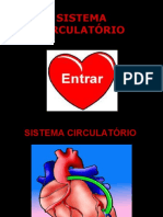 Sistema Circulatório