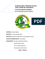 Problematica de Deforestación Punilla