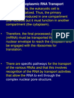 24 LN Protein Synthesis CNRAA