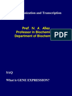 25 LN RNA Organization and Transcription CNRAA