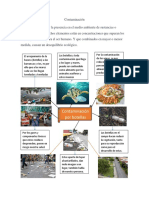 Mapa Mental de Contaminación Por Botellas