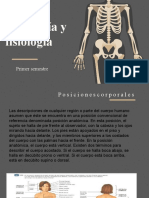 Posiciones Anatomicas