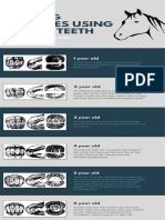 Aging Horses Using Their Teeth 2