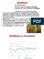 Capitulo 5 Biomasa
