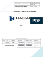 Plan de Seguridad y Salud Ocupacional Haman 2021